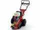 Benassi FR280  Stump Grinder - Honda GX390 engine - Rotor with 12 Hammers