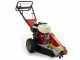Benassi FR280  Stump Grinder - Honda GX390 engine - Rotor with 12 Hammers