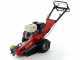 Benassi FR280  Stump Grinder - Honda GX390 engine - Rotor with 12 Hammers