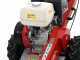 Benassi FR280  Stump Grinder - Honda GX390 engine - Rotor with 12 Hammers
