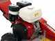 Benassi FR280  Stump Grinder - Honda GX390 engine - Rotor with 12 Hammers