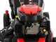 Blue Bird Sprint B46 T Self-propelled Lawn Mower - 4 in 1 - 46 cm Cutting Width