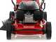 Marina Systems AGRI 46 SH Heavy-duty Lawn Mower - Honda GCVx 145