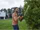 STIGA HT 500e Kit cordless hedge trimmer - 58 cm blade - Battery and charger included