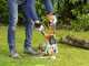 Black&amp;Decker Alligator GKC1000L Battery-powered Manual Pruner - 18 V 2Ah Battery