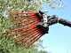 Lisam V8 Evo - Pneumatic Olive Harvester - 6 Bar Olive Shaker - 1900 Beats per Minute