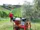Lisam MG Turbo - Pneumatic Olive Harvester - 6 Bar Olive Shaker - 1800 Beats per Minute