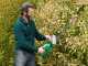 RIBIMEX PRBAT20-TH Battery-powered Electric Hedge Trimmer - 20 V 2Ah Battery