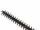 RIBIMEX PRBAT20-THSB Battery-powered Electric Hedge Trimmer - 20 V 2Ah - WITHOUT BATTERY AND BATTERY CHARGER