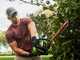 Greenworks GD60HT66 60 V Battery-powered Electric Hedge Trimmer - 66 cm Blade - WITHOUT BATTERY AND BATTERY CHARGER