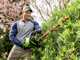 Greenworks GD60HT66 60 V Battery-powered Electric Hedge Trimmer - 66 cm Blade - WITHOUT BATTERY AND BATTERY CHARGER