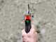Infaco F3020 Electric Pruning Shears - &Oslash; 40 mm Standard Kit for orchards and vineyards
