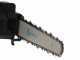 Campagnola T-REX 160 Manual Battery-powered Electric Pruner - 240 cm on Pole - 21.6 V 5Ah Battery