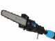 Campagnola T-REX 160 Manual Battery-powered Electric Pruner - 240 cm on Pole - 21.6 V 5Ah Battery