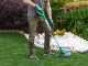 RIBIMEX PRBAT20/CBSB - Battery-powered Edge Trimmer - WITHOUT BATTERY AND CHARGER