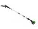 Greenworks GD60PS25 60 V Battery-powered Pruner on Extension Pole - 2Ah Battery