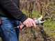 Infaco F3020 Electric Pruning Shears on telescopic carbon pole 147.5-212 cm - &Oslash; 40 mm standard Kit - Battery and backpack included