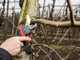 Infaco F3020 Electric Pruning Shears on telescopic carbon pole 147.5-212 cm - &Oslash; 40 mm standard Kit - Battery and backpack included
