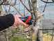 Infaco F3020 Electric Pruning Shears on fixed carbon pole 227 cm - &Oslash; 40 mm standard Kit - battery and backpack included