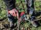 Infaco F3020 Electric Pruning Shears on fixed carbon pole 227 cm - &Oslash; 40 mm standard Kit - battery and backpack included