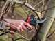 Infaco F3020 Electric Pruning Shears on fixed carbon pole 227 cm - &Oslash; 40 mm standard Kit - battery and backpack included