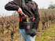 Infaco F3020 Electric Pruning Shears on fixed carbon pole 227 cm - &Oslash; 40 mm standard Kit - battery and backpack included