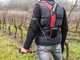 Infaco F3020 Electric Pruning Shears on fixed carbon pole 227 cm - &Oslash; 40 mm standard Kit - battery and backpack included