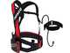 Infaco F3020 Electric Pruning Shears on fixed carbon pole 227 cm - &Oslash; 40 mm standard Kit - battery and backpack included
