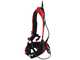 Infaco F3020 Electric Pruning Shears on fixed carbon pole 227 cm - &Oslash; 40 mm standard Kit - battery and backpack included