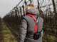 Infaco F3020 Electric Pruning Shears on fixed carbon pole 227 cm - &Oslash; 40 mm standard Kit - battery and backpack included