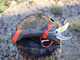 Infaco F3020 Electric Pruning Shears on fixed carbon pole 227 cm - &Oslash; 40 mm standard Kit - battery and backpack included