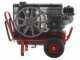 KIT HOBBY Lisam LM 500/10 Engine-driven Air Compressor for 2 Operators + 2 MG Magnesium Pneumatic Olive Harvesters + 2AT02 Poles