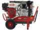 KIT HOBBY Lisam LM 500/10 Engine-driven Air Compressor for 2 Operators + 2 MG Magnesium Pneumatic Olive Harvesters + 2AT02 Poles