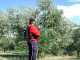 Lisam Oliveco - Electric Battery-powered Olive Harvester - With Nylon Prongs - Telescopic Pole