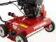 Weibang WB486CRC - Professional Lawn Scarifier with Moving Blades - Loncin G200F engine