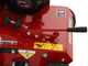Weibang WB384RC - Professional Lawn Scarifier with Moving Blades - Loncin G200F engine
