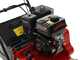 Weibang WB384RC - Professional Lawn Scarifier with Moving Blades - Loncin G200F engine