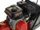 Weibang WB384RC - Professional Lawn Scarifier with Moving Blades - Loncin G200F engine