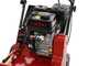 Weibang WB384RC - Professional Lawn Scarifier with Moving Blades - Loncin G200F engine