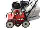 Weibang WB384RC - Professional Lawn Scarifier with Moving Blades - Loncin G200F engine
