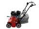 Weibang WB384RC - Professional Lawn Scarifier with Moving Blades - Loncin G200F engine