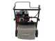 Weibang WB384RC - Professional Lawn Scarifier with Moving Blades - Loncin G200F engine
