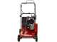 Weibang WB384RC - Professional Lawn Scarifier with Moving Blades - Loncin G200F engine