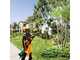 Makita DUA301Z Battery-powered Electric Pruner on Pole - WITHOUT BATTERY AND BATTERY CHARGER