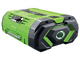 PROMO EGO Lotus - 56 V Olive Harvester - 10Ah Battery - Telescopic Pole