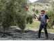 Zanon Olivar Electric AL 300 Battery-powered Electric Olive Harvester, 191/316 cm - Telescopic Aluminium Pole