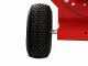 Ceccato Tritone Monster - Professional Petrol garden Shredder - GX390 HONDA - Electric Start