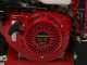 Ceccato Tritone Maxi - Petrol garden shredder - Honda GX 390 engine - Electric start