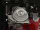 Ceccato Tritone Maxi - Petrol garden shredder - Honda GX 390 engine - Electric start