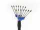 Paterlini V-UP Electric Olive Harvester - 12 V - 2 up to 3 m